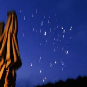 Meet your Posher, Riley